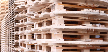 Lorenzo Pelloso - prodotti